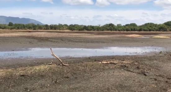 Cracked Earth, Empty Reservoirs & Hungry Wildlife
